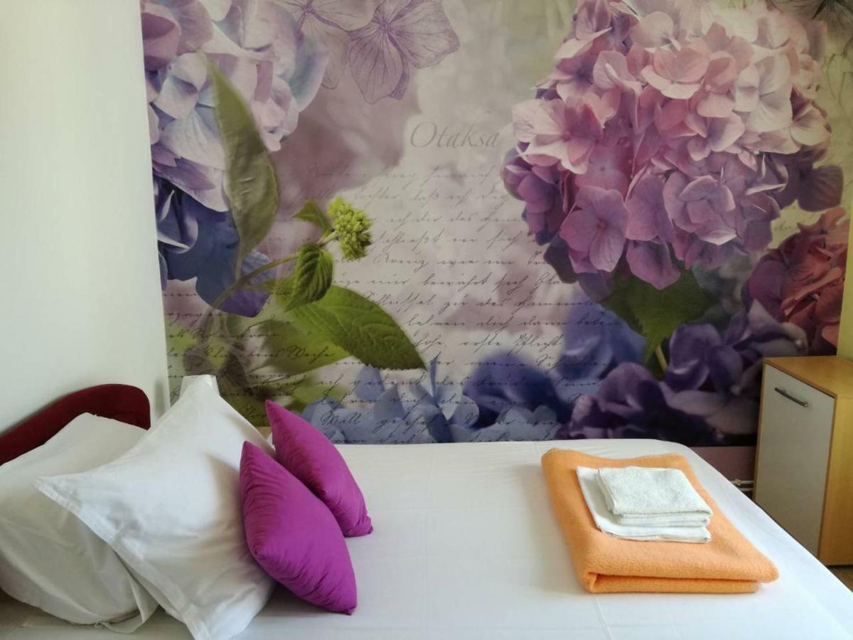 Apartment Yelena Rose West Zadar Ngoại thất bức ảnh