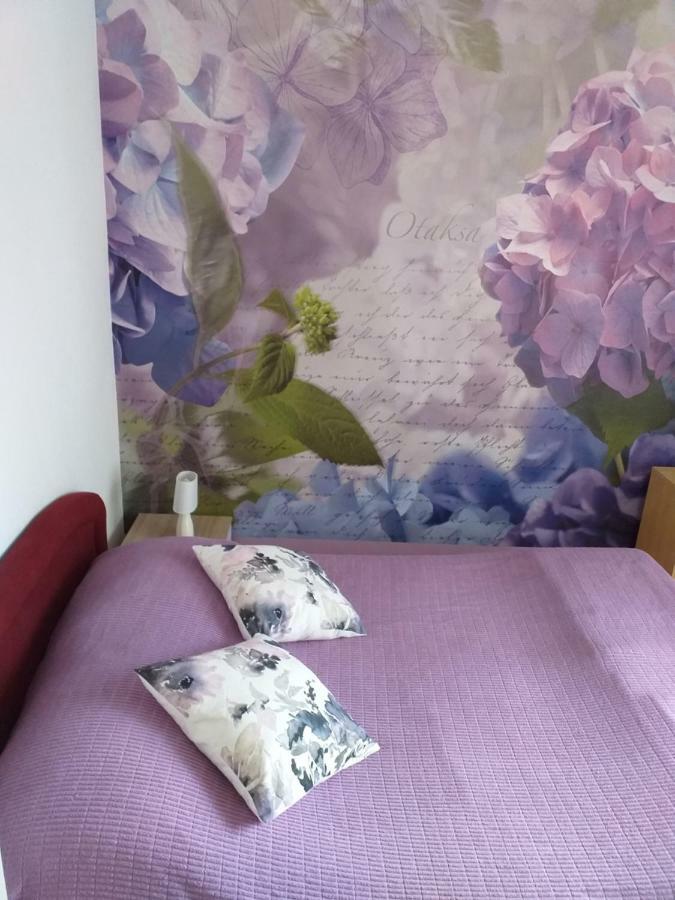 Apartment Yelena Rose West Zadar Ngoại thất bức ảnh