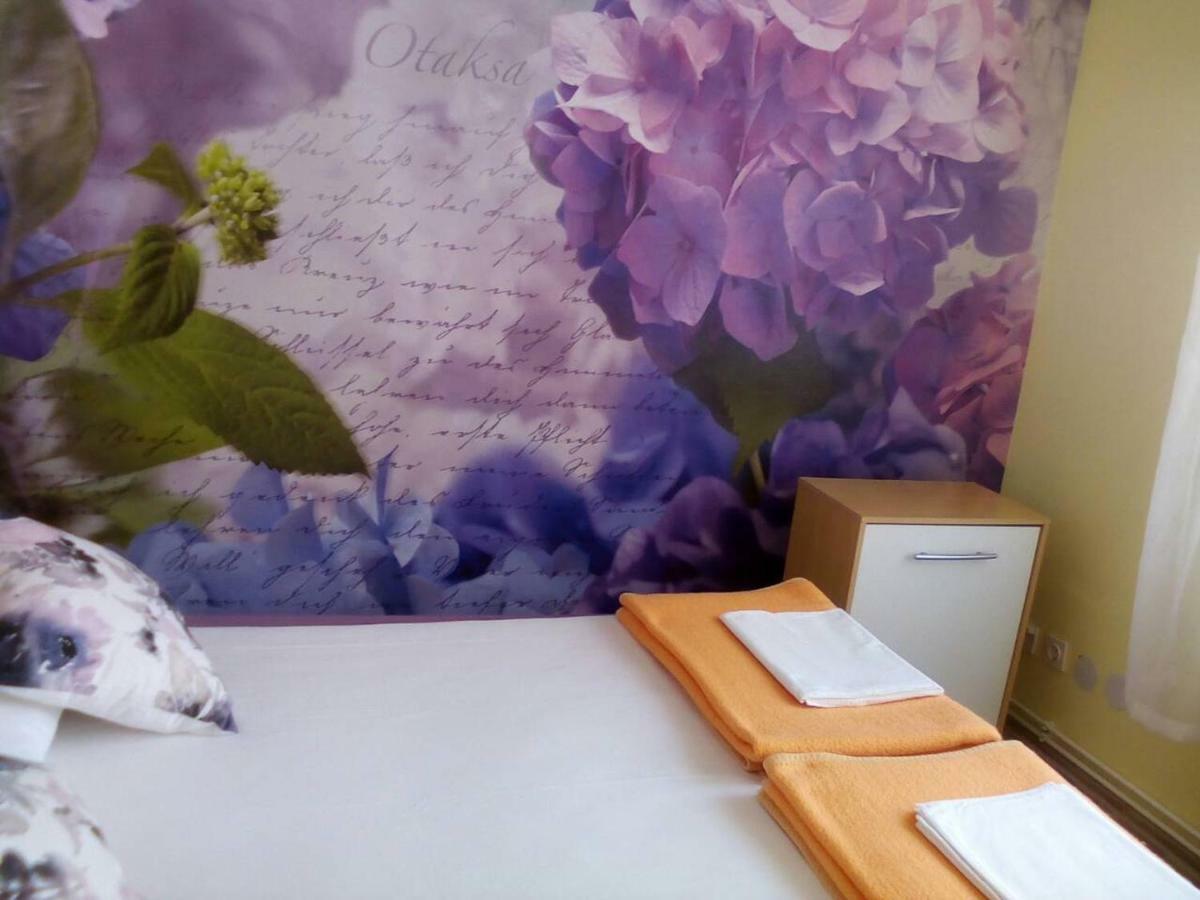 Apartment Yelena Rose West Zadar Ngoại thất bức ảnh